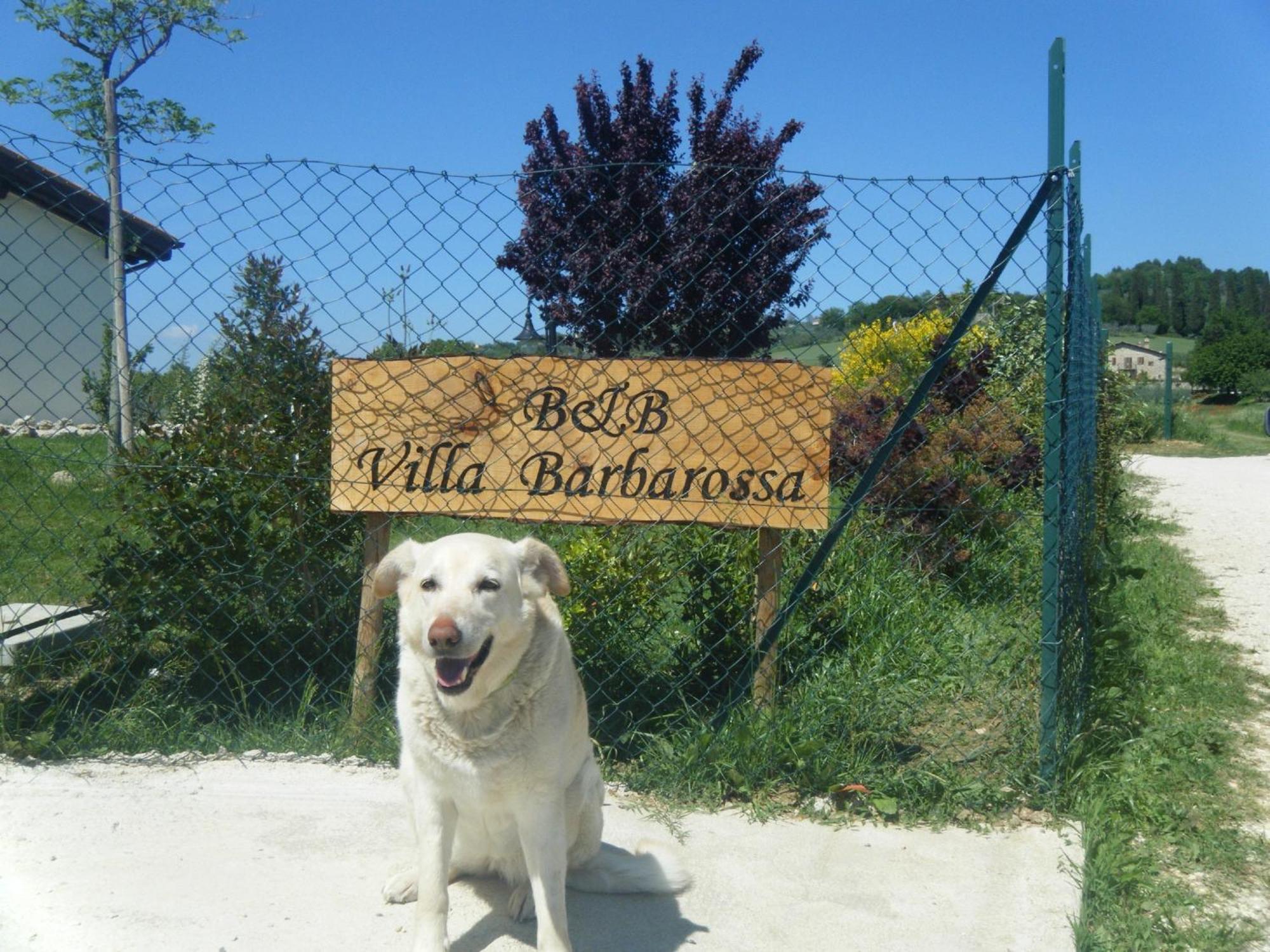 B&B Villa Barbarossa Petrignano Εξωτερικό φωτογραφία